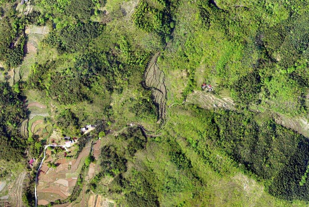 无人机技术在现代林业工作方面的应用(图2) 无人机技术在现代林业工作方面的应用(图2)